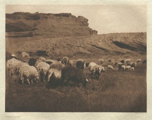 Portfolio I, Tafel 33: Navaho-Herden