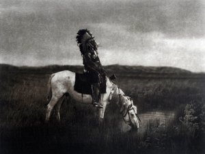 Indianerkrieger reitet in der Ebene von Edward Sheriff Curtis