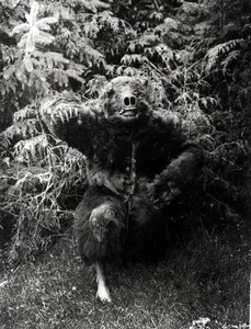 Nane-Qagyuhl, Indianerkostüm von Edward Sheriff Curtis