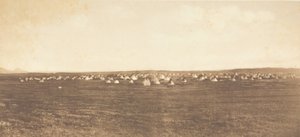 Sonnentanzlager - Piegan von Edward Sheriff Curtis
