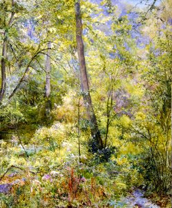 Geflecktes Sonnenlicht, Sheepscombe-Wälder von Edward Steel Harper