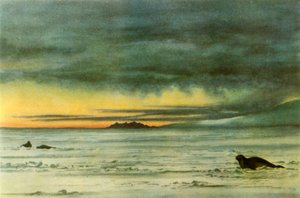 Blick nach Norden im McMurdo-Sund von Edward Wilson
