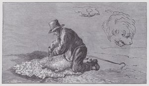 Schafschur