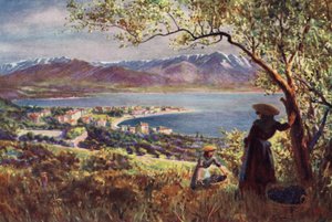 Korsika: Gesamtansicht von Ajaccio