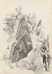 Bottom & Titania, Illustration für Ein Sommernachtstraum von Edwin Austin Abbey