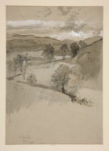 Landschaft - Felder
