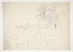 Landschaft mit durchlaufender Straße