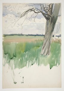 Studie eines Feldes und Baumes von Edwin Austin Abbey
