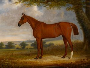 Kastanienbrauner Jäger in einer Landschaft, 1867