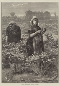 Für den Londoner Markt (Gravur) von Edwin Buckman
