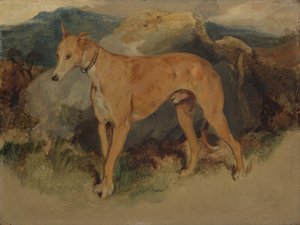 Ein Hirschhund, 1826