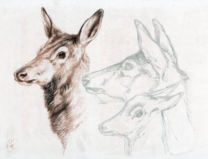 Faksimile einer Zeichnung von Sir E. Landseer, 1874