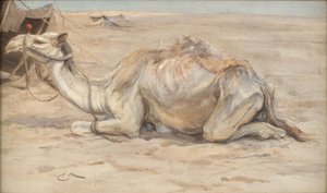 Kamel im Lager des Künstlers mit Beduinen