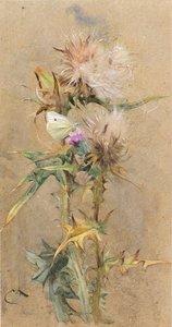 Disteln und Schmetterling von Edwin John Alexander