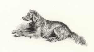 Ein Setterhund von Edwin Landseer