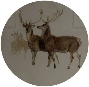 Hirsche in einer Landschaft (Studien von Hirschen) von Edwin Landseer