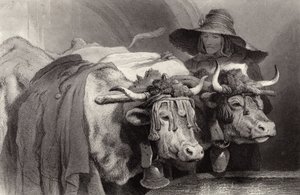 Ochsen am Tank, Genf, Schweiz von Edwin Landseer