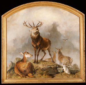 Szene in Braemar - Hochlandhirsche