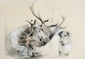 Hirschköpfe und Hund, 1857 von Edwin Landseer