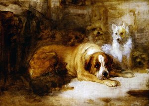 Studie von Hunden