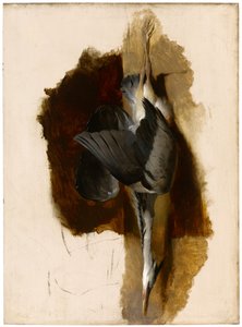 Studie eines toten Reihers, um 1832-33 von Edwin Landseer