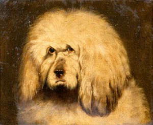Studie eines Hundekopfes von Edwin Landseer