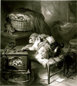 Die Katzenpfote von Edwin Landseer