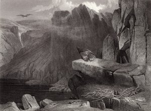 Das Nest des Adlers von Edwin Landseer