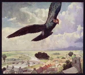 Eine Brieftaube im Flug