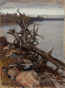 Tote Kiefer im Wasser von Eero Järnefelt