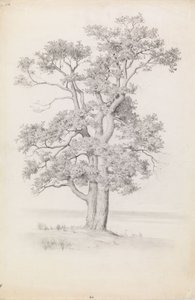 Eiche von Eero Järnefelt
