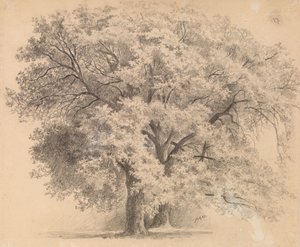 Ohne Titel von Eero Järnefelt