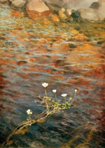 Wasserranunkel von Eero Nikolai Jarnefelt