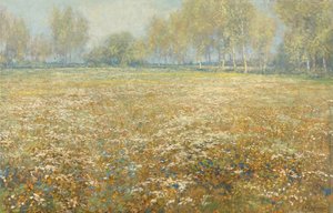 Blühende Wiese