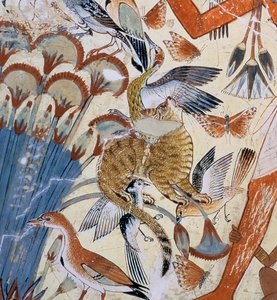 Detail einer Katze, aus Nebamun jagt in den Sümpfen mit seiner Frau und Tochter, Teil eines Wandgemäldes aus der Grabkapelle von Nebamun, Theben, Neues Reich, ca. 1350 v. Chr.