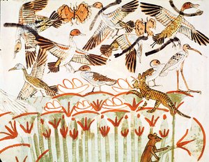 Fischen und Jagen in den Sümpfen, Detail der Vögel, aus der Grabkapelle von Menna, Neues Reich (Wandmalerei)