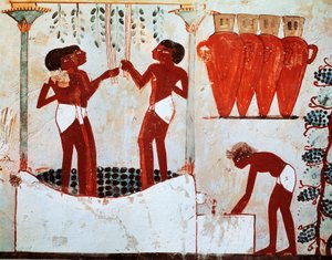 Illustration des ländlichen Alltags: Federvieh rupfen und Trauben ernten, aus dem Grab von Nakht in Theben von Egyptian 18th Dynasty