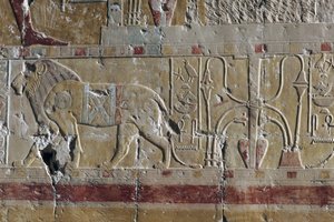 Löwe, Relief, Totentempel der Hatschepsut, Deir el-Bahari, Thebanische Nekropole
