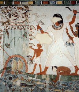 Menna und seine Familie beim Fischen und Vögeln in den Sümpfen des Nils, Detail aus den Fresken in der Kapelle des Grabes von Menna, Sheikh Abd el Qurnah Nekropole, Luxor, Theben (Unesco-Welterbeliste) von Egyptian 18th Dynasty