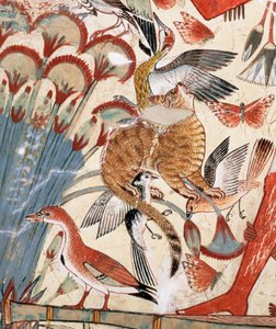 Nebamun jagt im Sumpf mit seiner Frau und Tochter, Teil einer Wandmalerei aus der Grabkapelle von Nebamun, Theben, Neues Reich, ca. 1350 v. Chr. (Detail) von Egyptian 18th Dynasty
