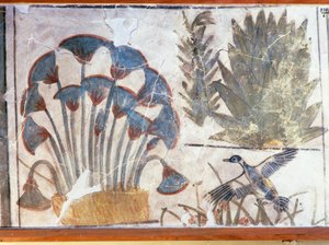 Malerei, die eine Ente zwischen Pflanzen darstellt, aus dem Palast von Echnaton, El-Awara, Ägypten