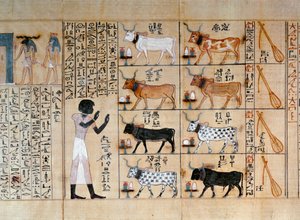 Papyrus, der Ochsen darstellt, aus dem Totenbuch des Maiherperi von Egyptian 18th Dynasty