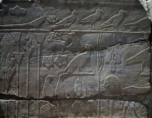 Pflanzen und Tiere, die von Thutmosis III. Expedition nach Syrien im Jahr 1465 v. Chr. zurückgebracht wurden, Detail des Reliefs, Halle, bekannt als der sogenannte Botanische Garten, Tempel des Amun, Karnak-Tempelkomplex, ägyptische Zivilisation, Neues Rei