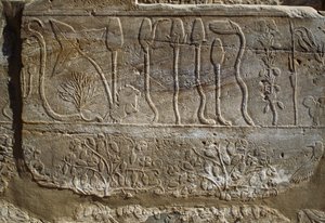 Relief von Tieren und Pflanzen, die Amun von Thutmosis III. nach seiner Rückkehr aus dem Syrienfeldzug 1465 v. Chr. angeboten wurden, Botanischer Gartenraum, Karnak, Thebanische Nekropole, Luxor, Ägypten, Neues Reich, 18. Dynastie von Egyptian 18th Dynasty