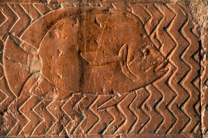 Darstellung von Fischen, Szenen des Königreichs Punt, Südwand der zentralen Kolonnade, Totentempel von Hatschepsut, Deir el-Bahari, Luxor, Theben (UNESCO-Welterbeliste)