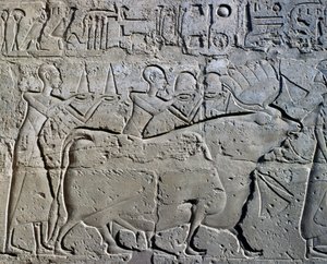 Charaktere, die Bergbaudistrikte symbolisieren und ihre Tribute an den Gott bringen, Relief, Ramses II Hof, Tempel des Amun (Unesco-Welterbeliste)