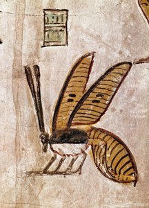 Ägyptische Kunst: Grab von Sethos I. (Detail der Biene) von Egyptian 19th Dynasty