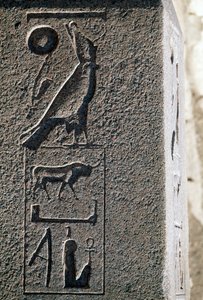 Hieroglyphe mit dem Namen von Horus, Großer Tempel von Amun, Tanis, Ägypten, Neues Reich, 19. Dynastie von Egyptian 19th Dynasty