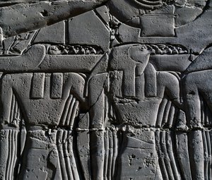 Priester mit Falkenmaske, Detail aus einer Szene, die Ramses II. vor dem heiligen Boot darstellt, Relief, Innenwände der Großen Säulenhalle, Karnak-Tempelkomplex (Unesco-Welterbeliste) von Egyptian 19th Dynasty