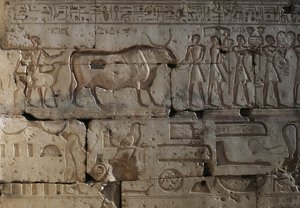Relief, Tempel von Ramses II, Abydos, Ägypten, ägyptische Zivilisation, Neues Reich, Dynastie XIX